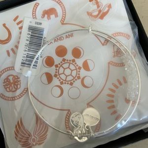 NWT Alex and Ani Ice Storm